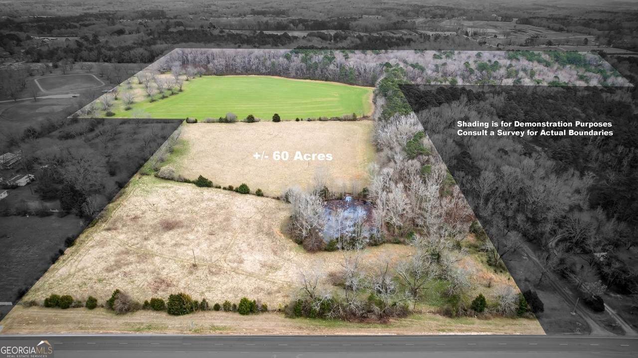 60.97+/- ACRES Us Hwy 19 - Photo 1