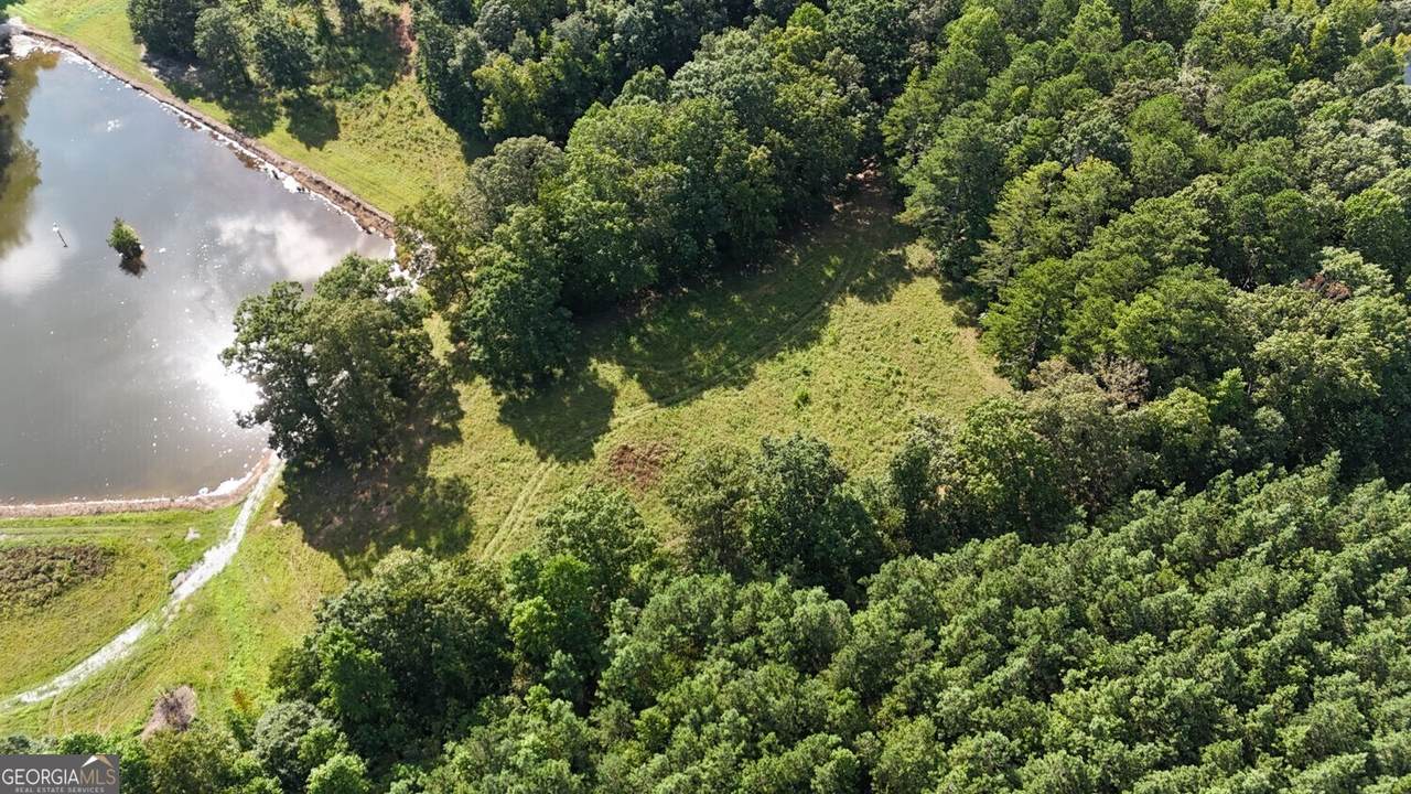 LOT 1 Snote Jones Road - Photo 1