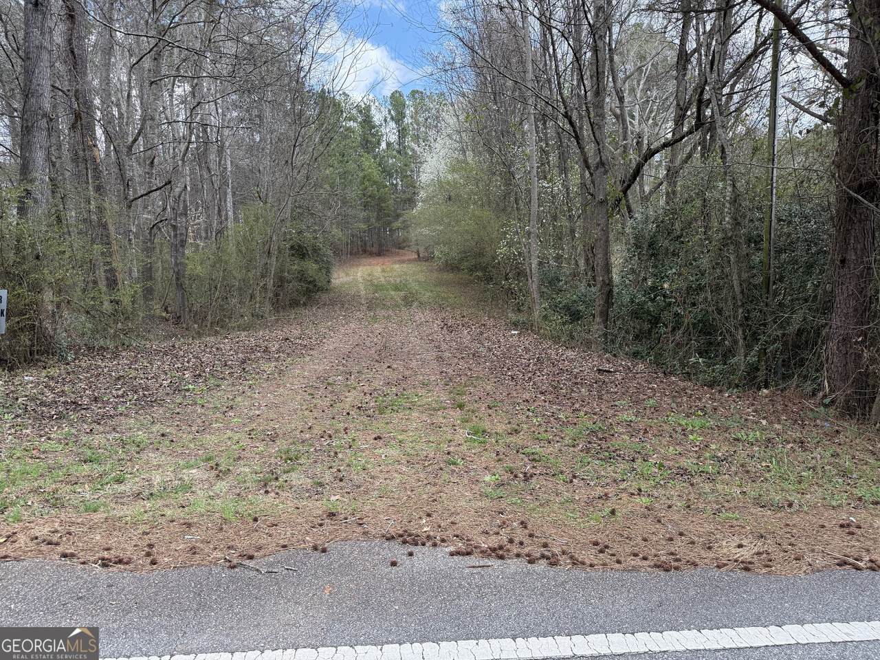 0 Lowery Rd (3.94 Ac) - Photo 1
