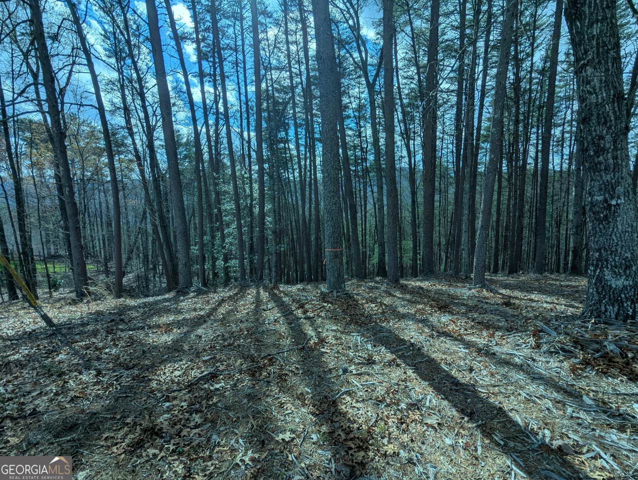 LT 30-31 Eagle Ridge Road - Photo 1