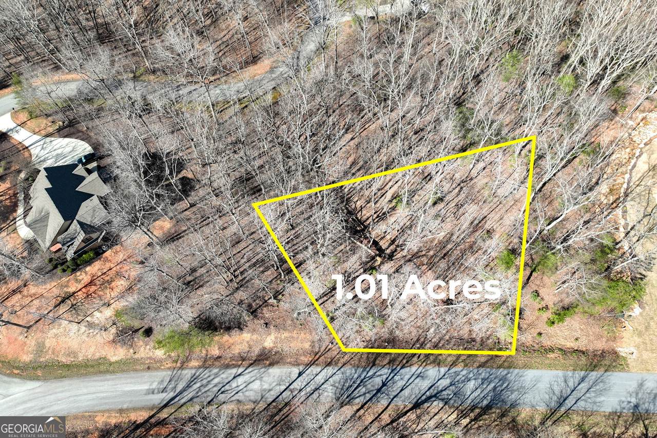 LOT 21 Long Mountain Trail - Photo 1