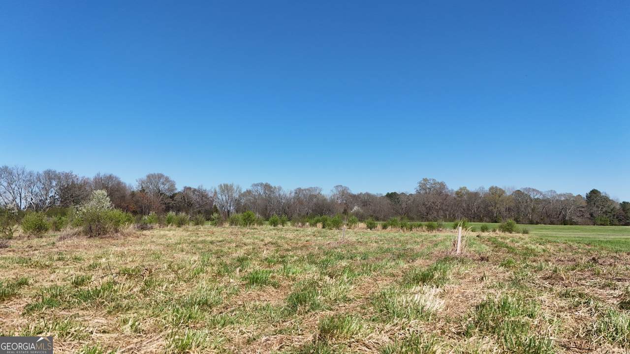 0 Lincolnton Highway - Photo 1