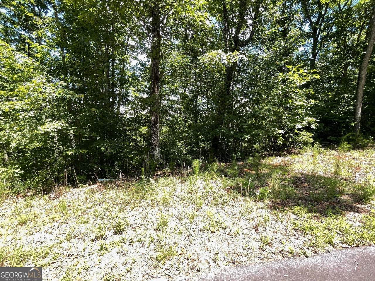 LOT 20 Fodder Creek Mill Drive - Photo 1