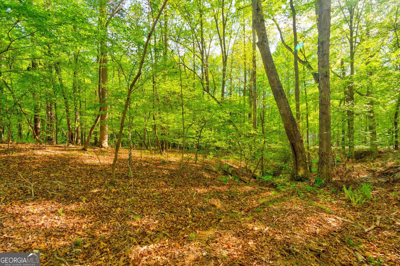 4033 Hidden Hollow Drive - Photo 1