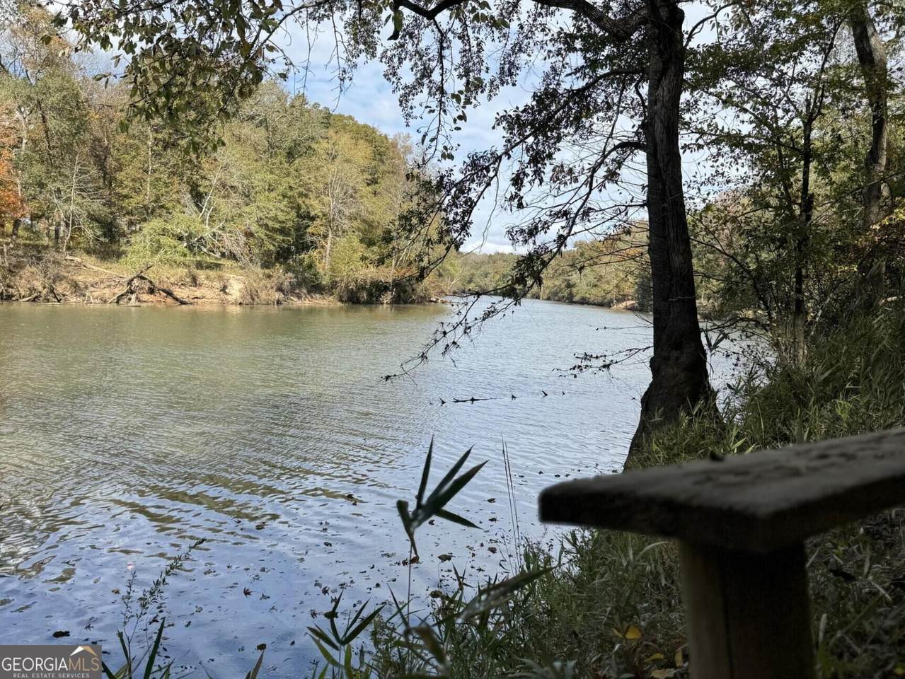 99 ACRE Flint River Road - Photo 1