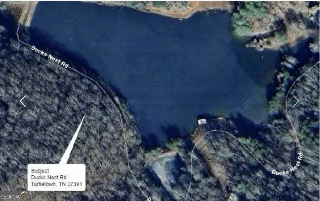0 Ducks Nest Road - Photo 1