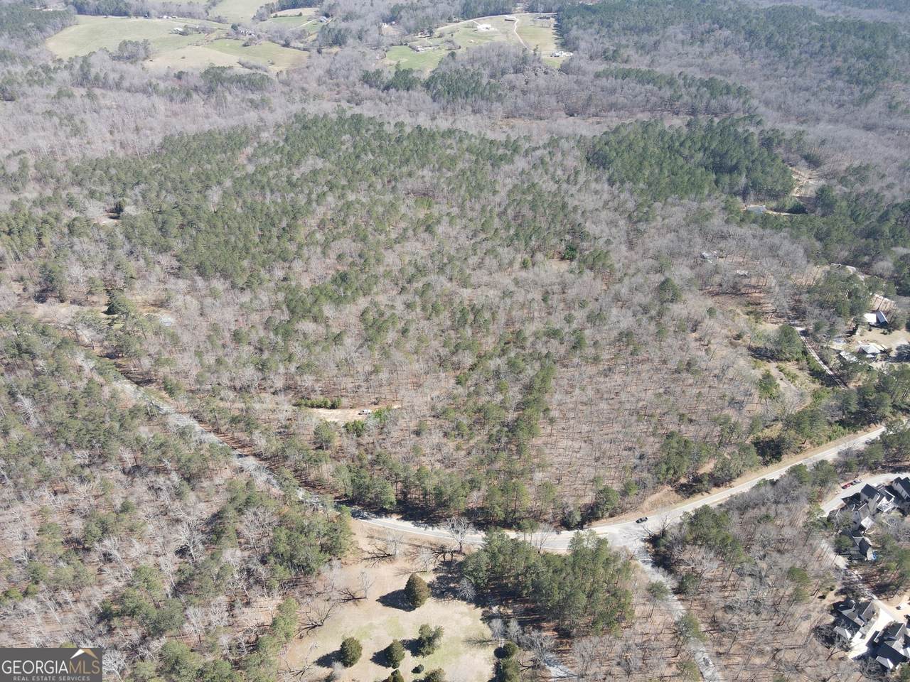 707 Atlanta Newnan Road - Photo 1