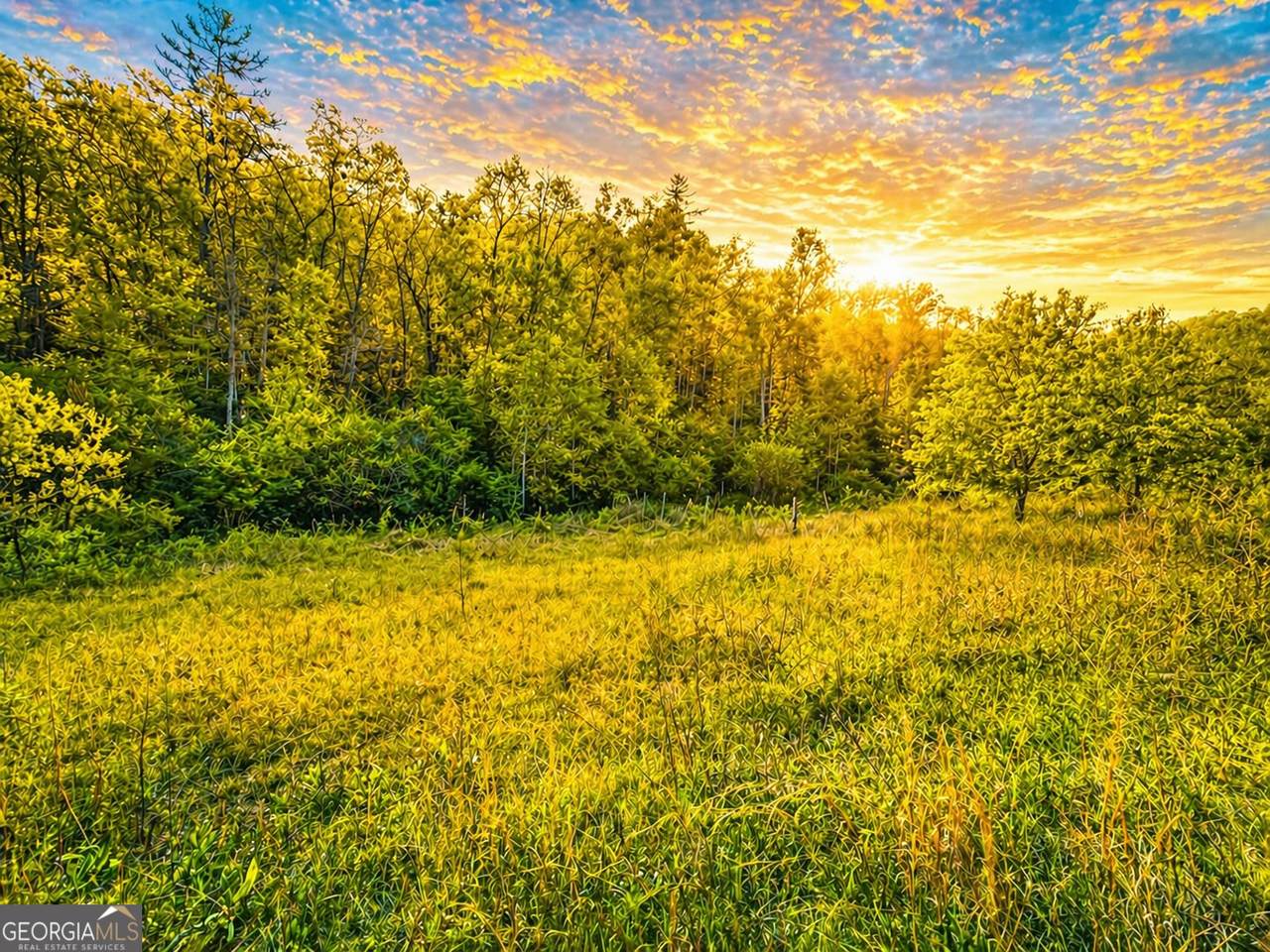 https://bt-photos.global.ssl.fastly.net/gamls/1280_boomver_2_10753185-2.jpg