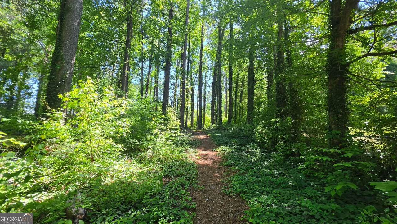 6099 Old Alabama Road - Photo 1