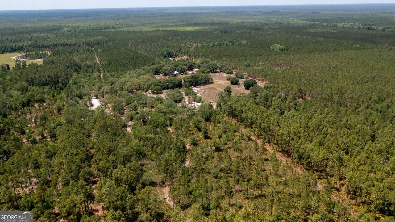 779 Ralph Davis Road - Photo 1