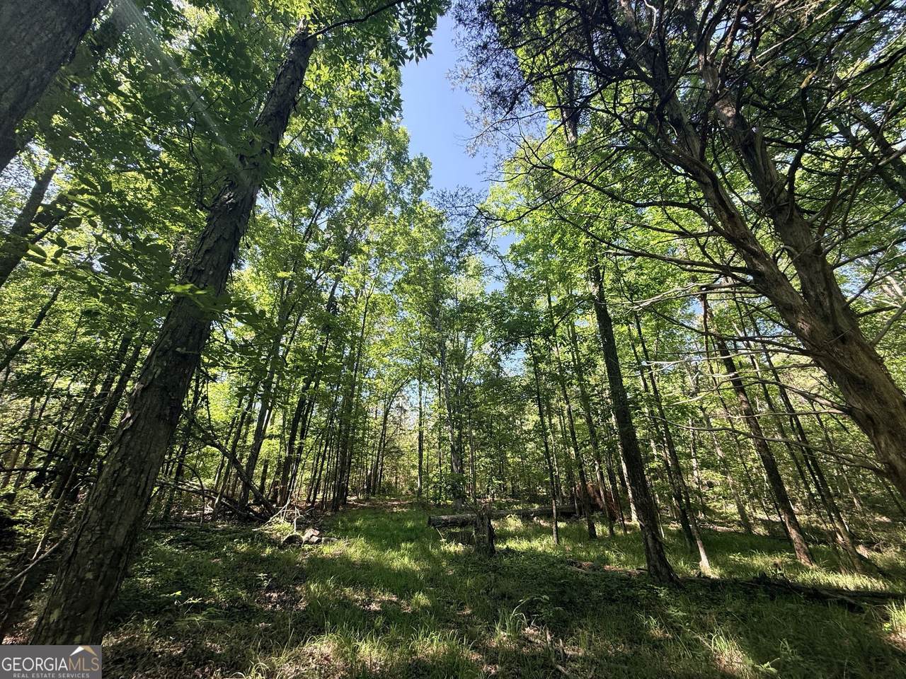 580 Saggus Road - Photo 1