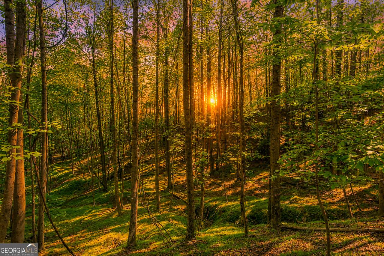 https://bt-photos.global.ssl.fastly.net/gamls/1280_boomver_2_10768430-2.jpg
