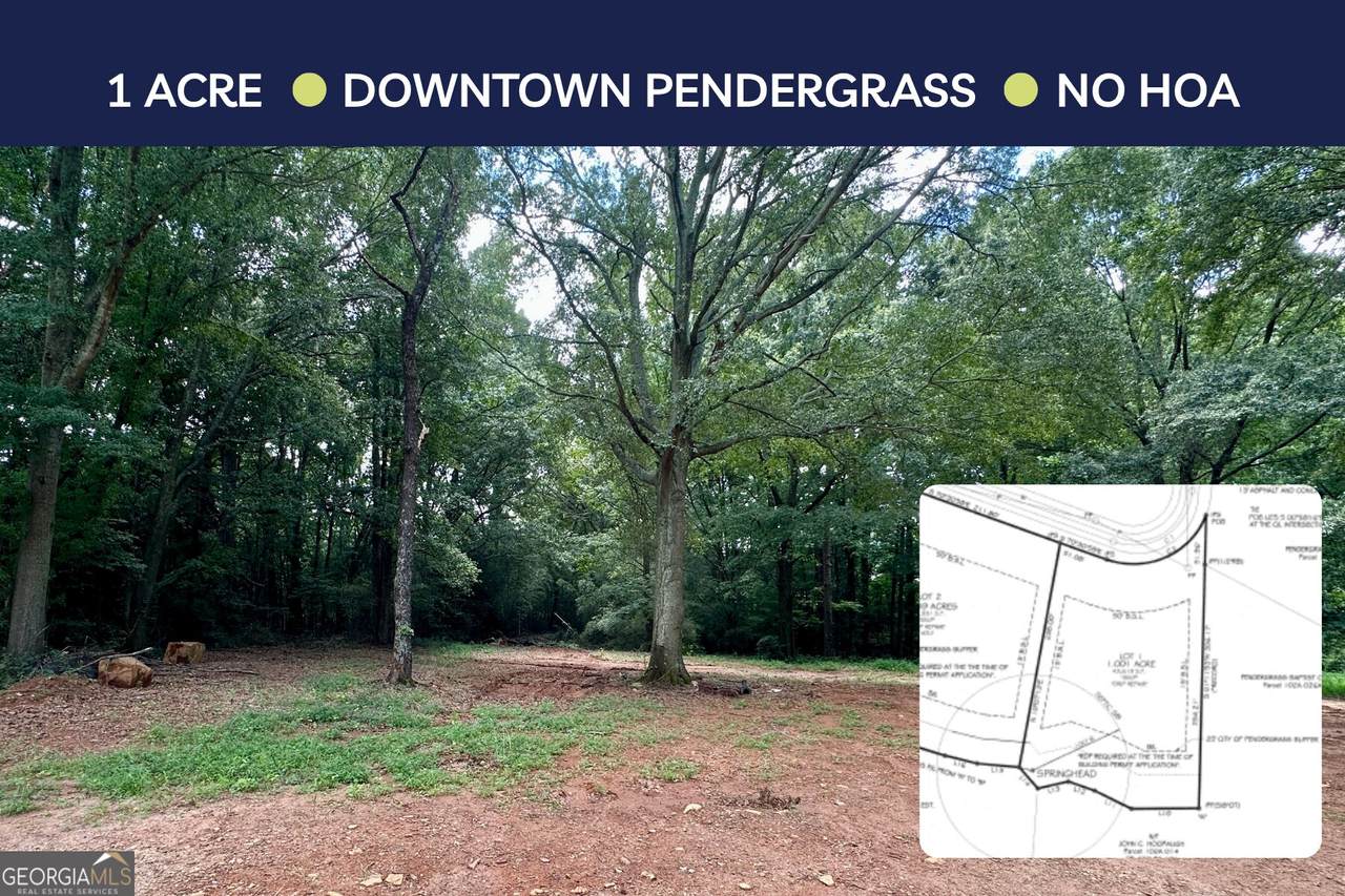 LOT 1 Pine Street - 1 Acre - Photo 1