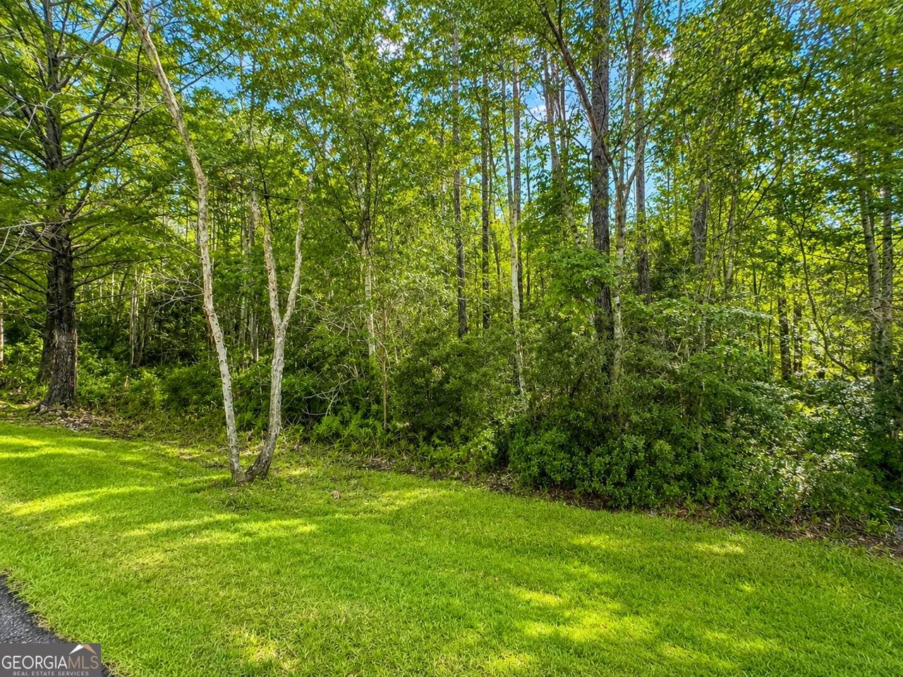 LOT 163 La Terra Lane - Photo 1