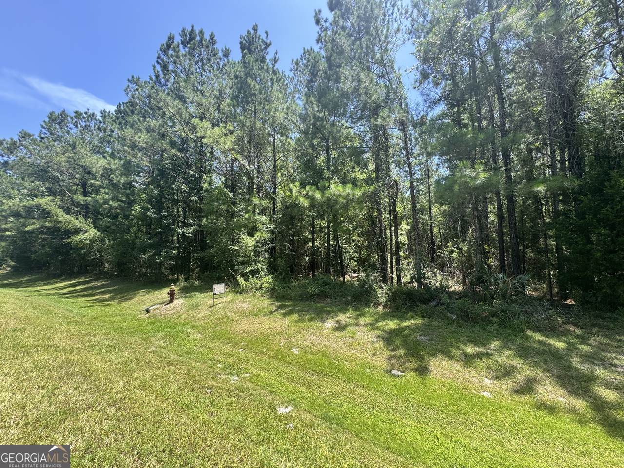 LOT 88 La Sole Lane - Photo 1