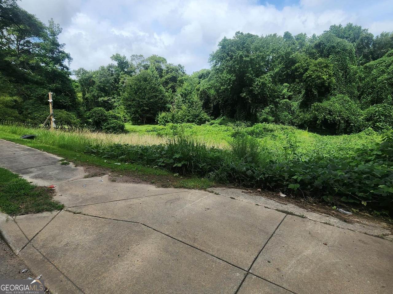 2233 Macon Drive - Photo 1