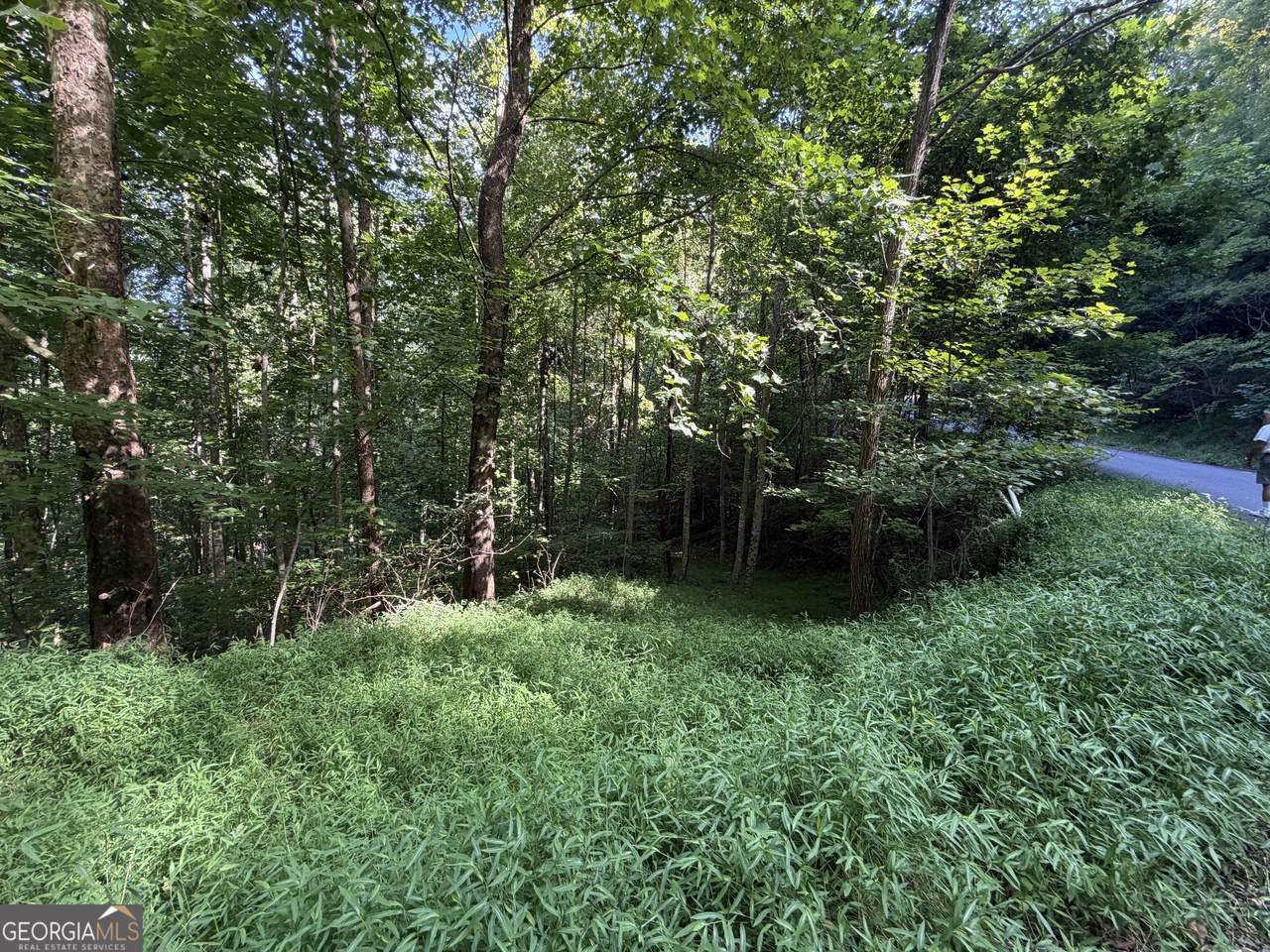 LOT 4 Mill Ridge Road - Photo 1