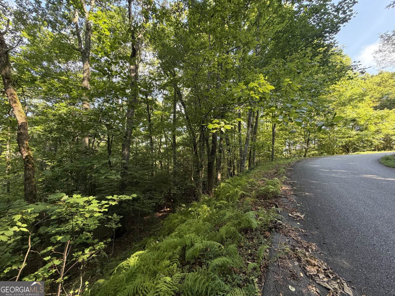 LOT 5 Mill Ridge Road - Photo 1