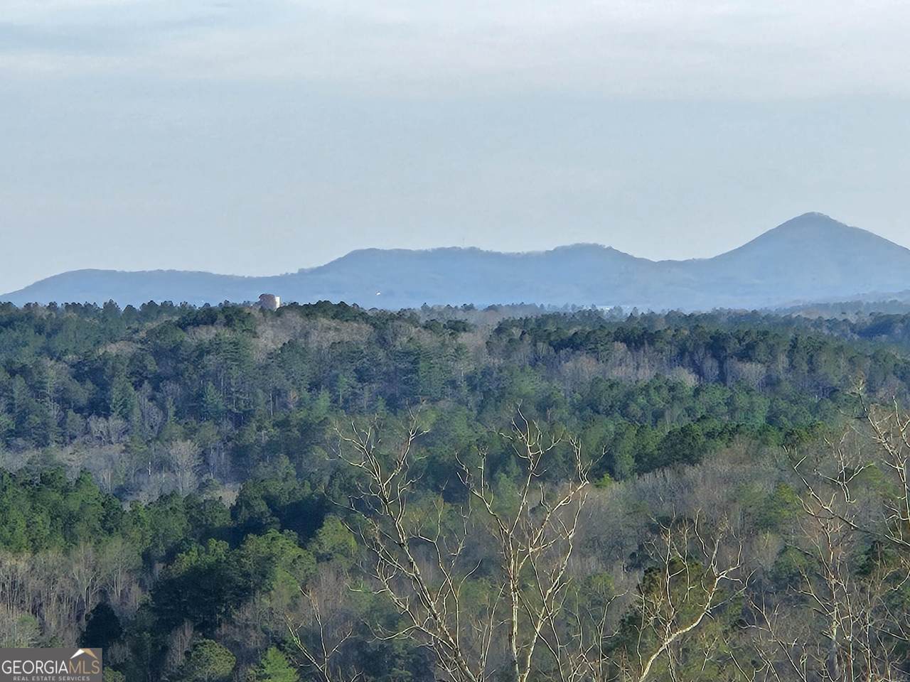 289 Anglers Ridge Road - Photo 1