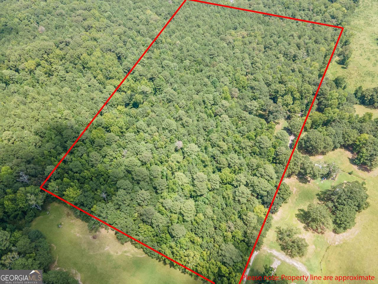 TRACT 5 Chapman Road - Photo 1