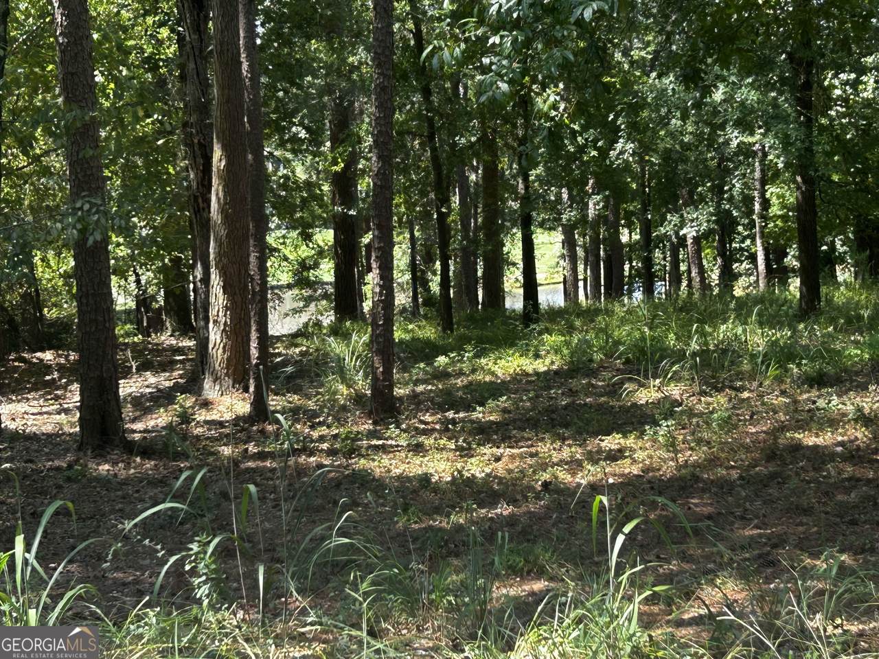 1191 Lakeview Court - Photo 1