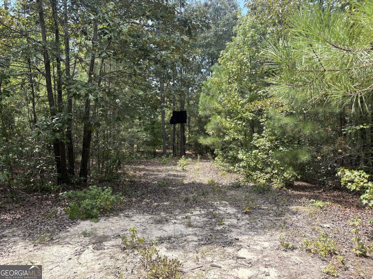 L11 Indian Trail Road - Photo 1
