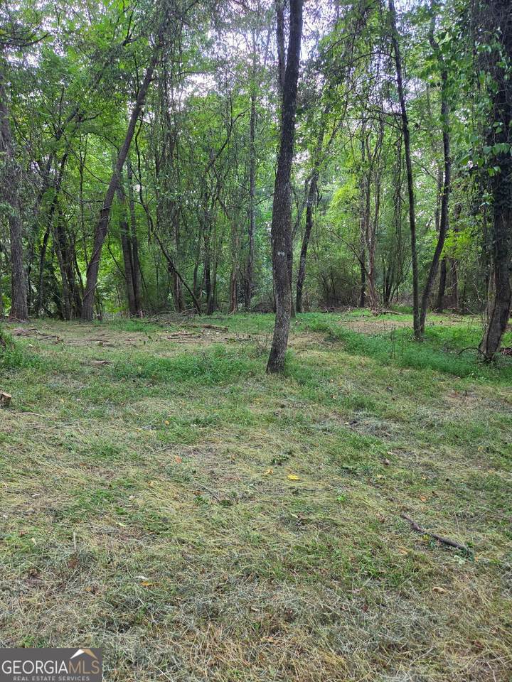 LOT 1 Thurman Street - Photo 1