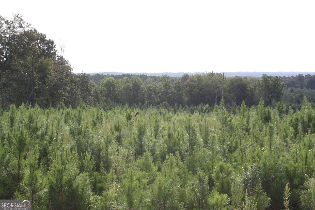 https://bt-photos.global.ssl.fastly.net/gamls/1280_boomver_2_10833896-2.jpg