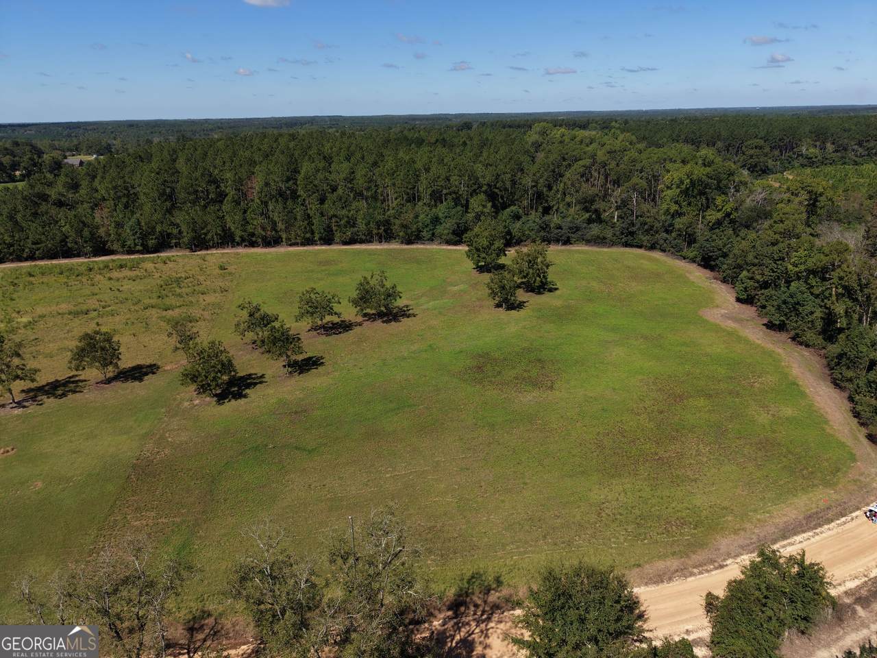 0 Cleon Shuman Road - Photo 1