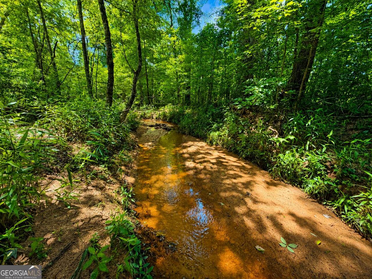 29 ACRES Cochran Road - Photo 1