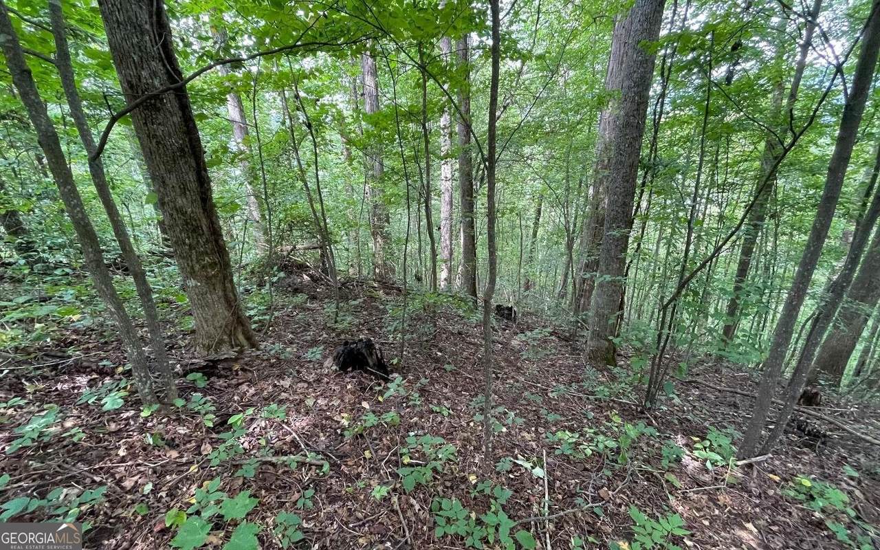 LOT 19 Bear Trail - Photo 1