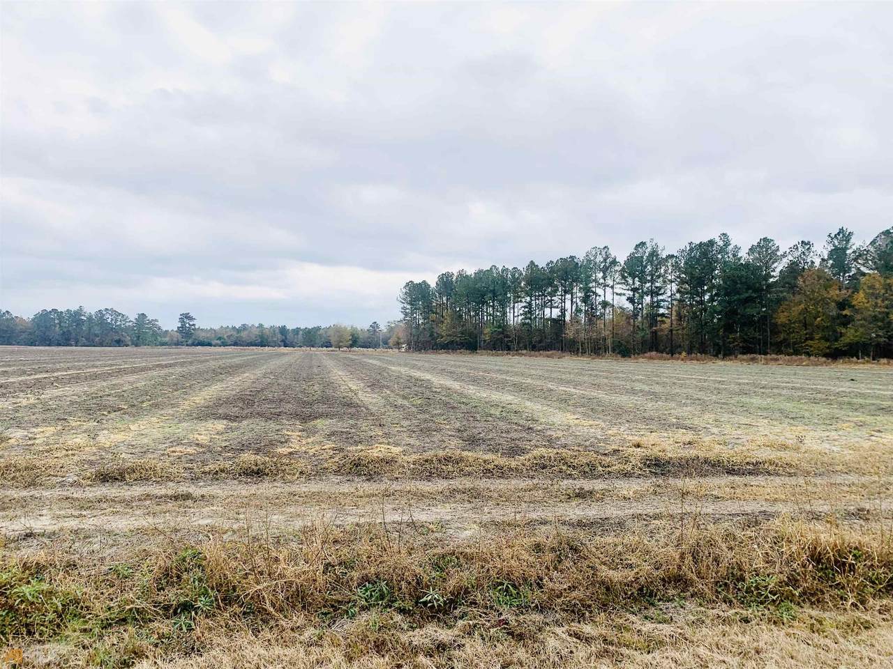 - Pw Cliton Road - Photo 1