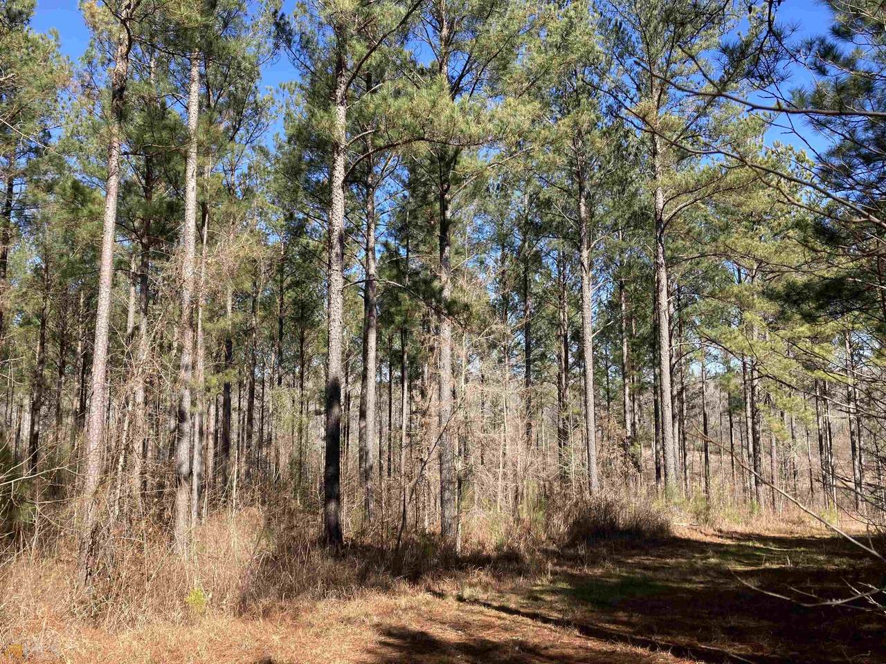 TRACT 14 Aqua Rd - Photo 1