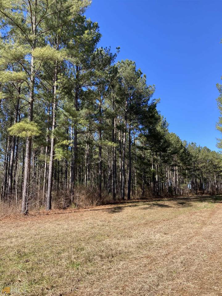 TRACT 16 Indian Creek Rd - Photo 1