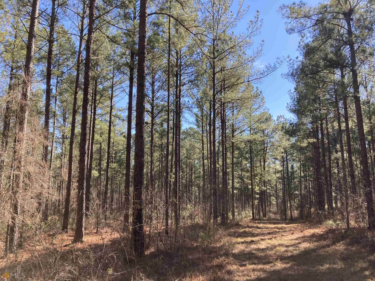 TRACT 20 Indian Creek Rd - Photo 1