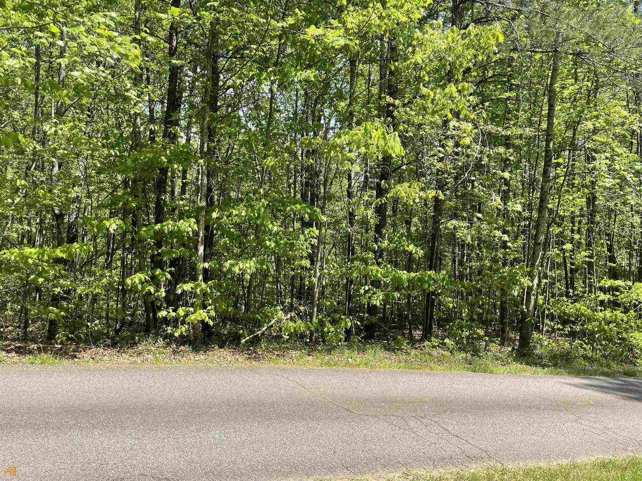 135 Laurel Hill Drive Drive - Photo 1