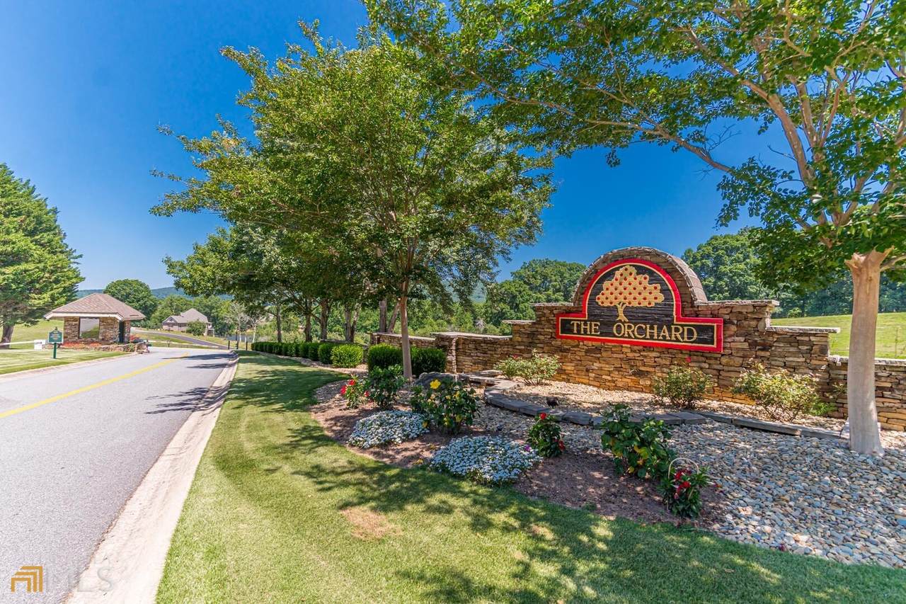 291 Raspberry Lane - Photo 1