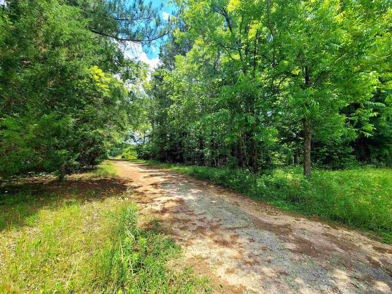 1612 Steele - Photo 1