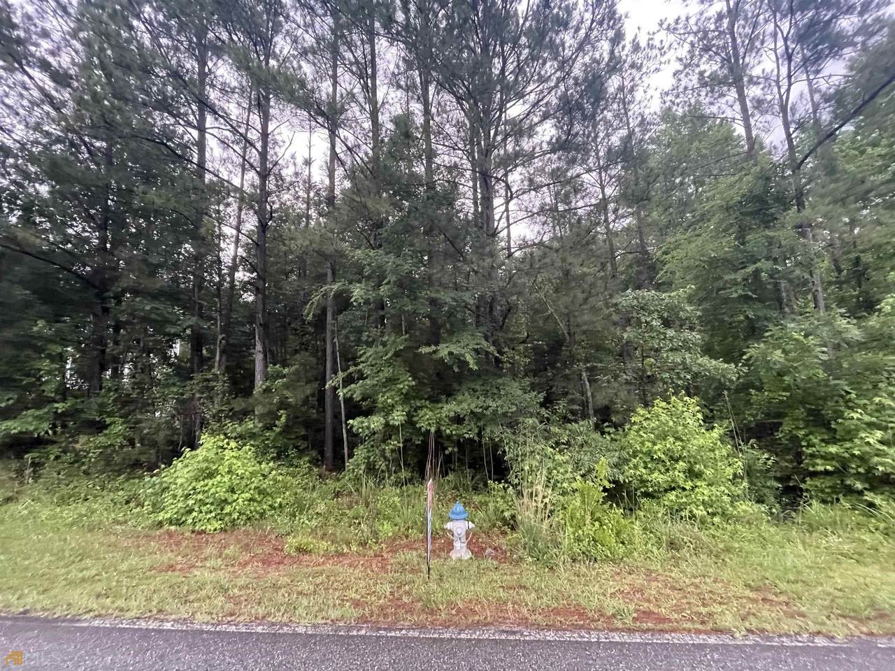 0 (LOT#36) Strickand Pasture Road - Photo 1
