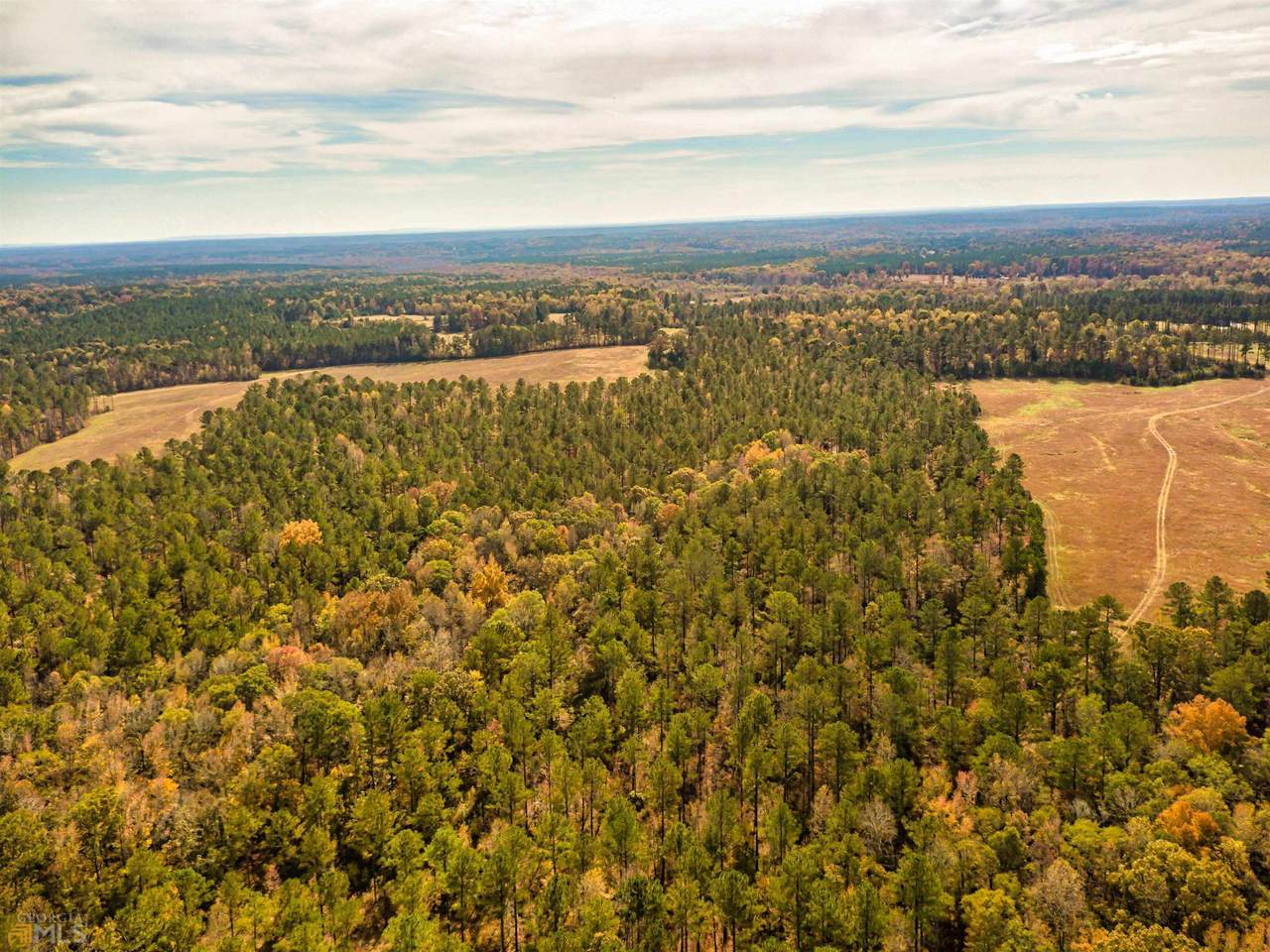 0 Bear Creek Road - Photo 1