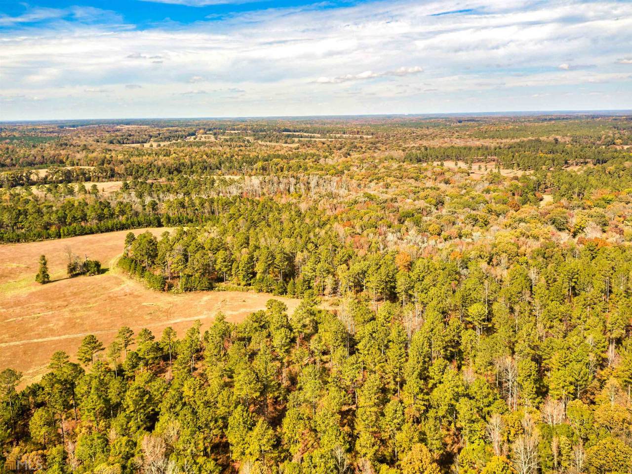 0 Bear Creek Road - Photo 1