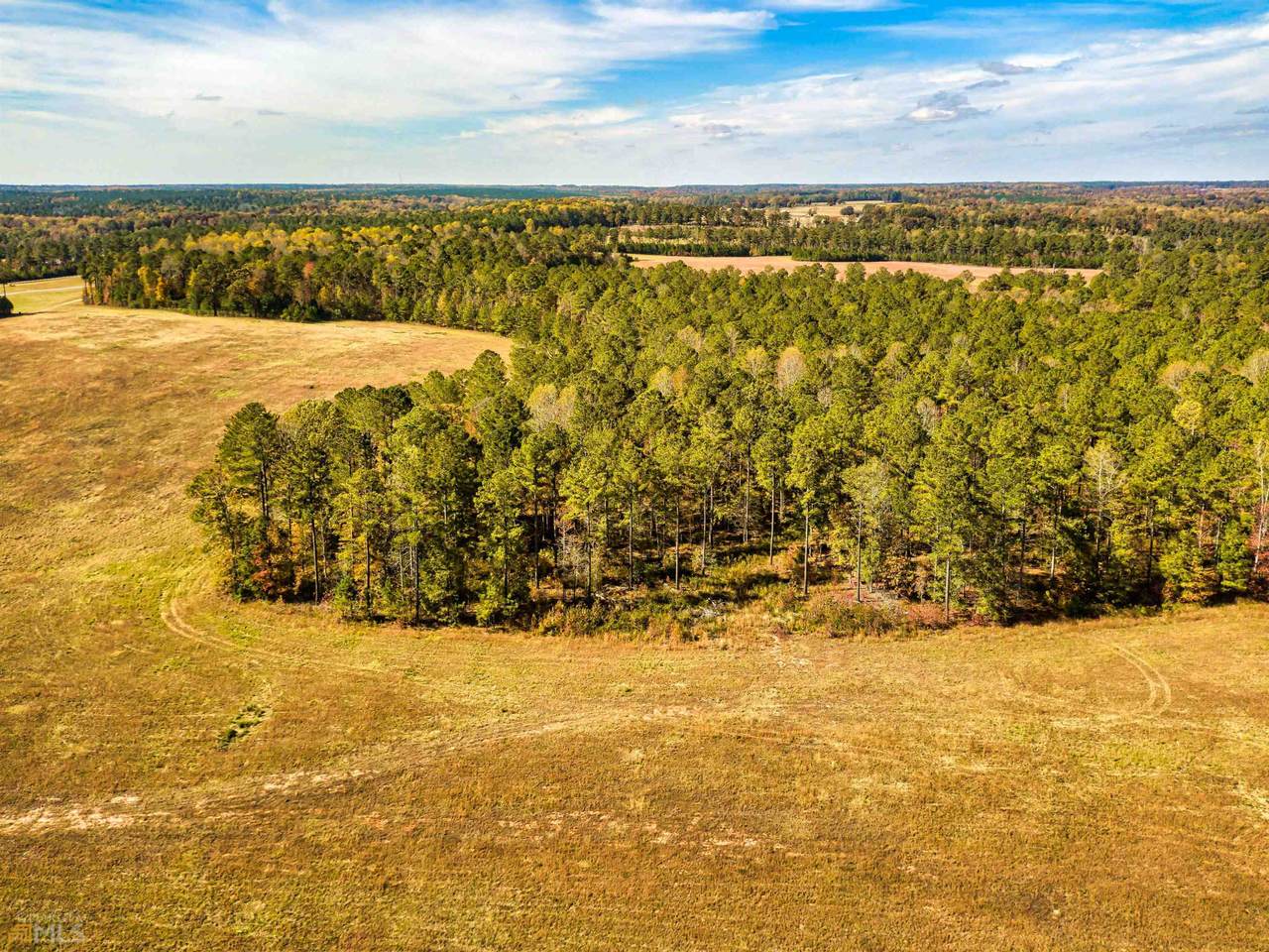 0 Bear Creek Road - Photo 1
