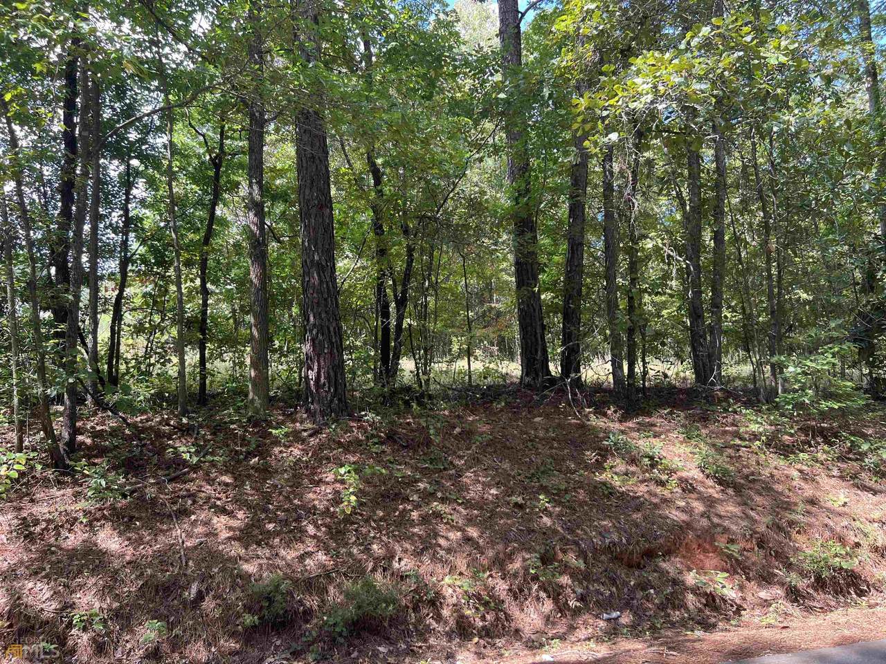 LOT 15 Weems Road - Photo 1