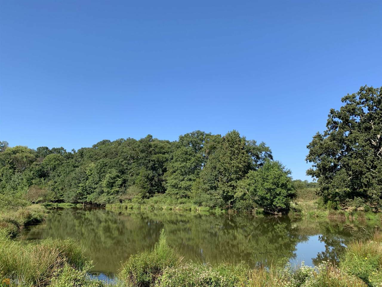 6774 Bowman Highway - Photo 1