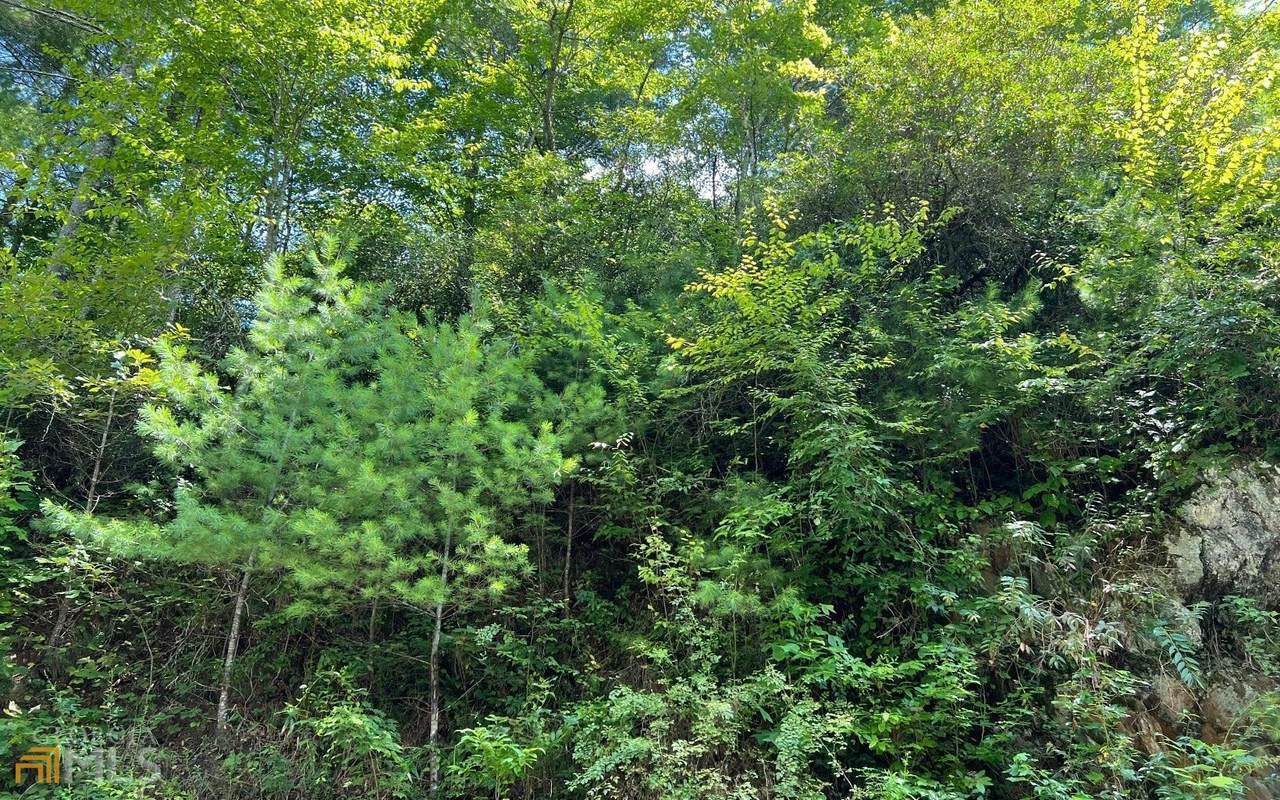 LOT 76 Fires Creek Cove - Photo 1