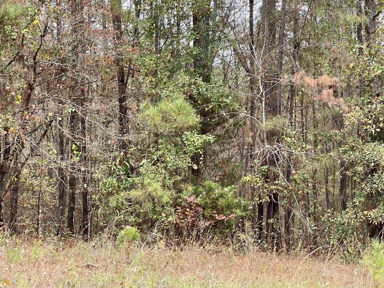 LOT 515 Little River Trail - Photo 1