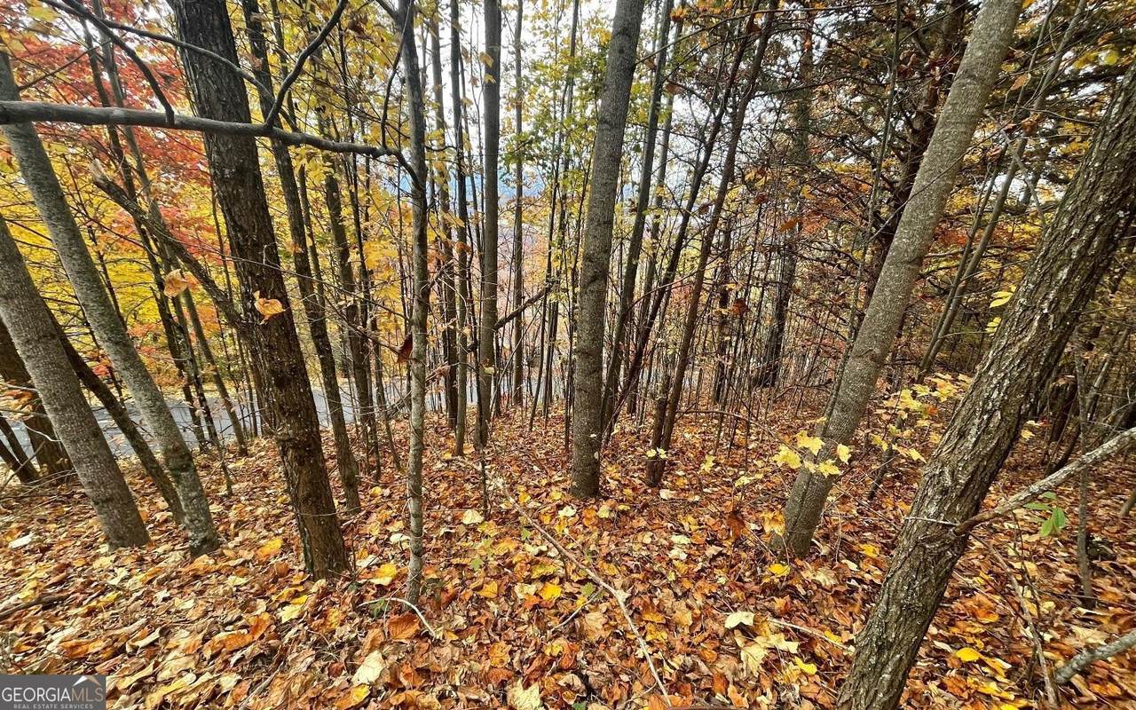 LOT 24B Grandview Drive - Photo 1
