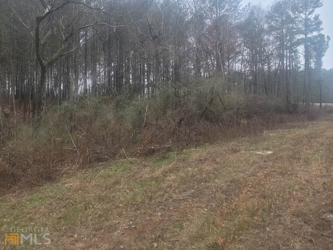 000 Highway 42 - Photo 1