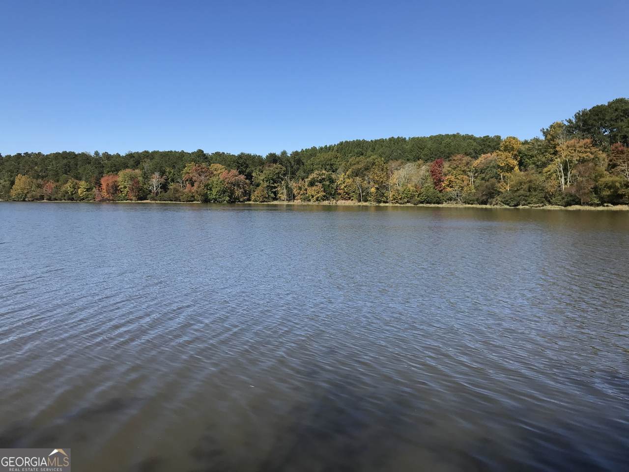 0 Red Bone Ridge Road - Photo 1