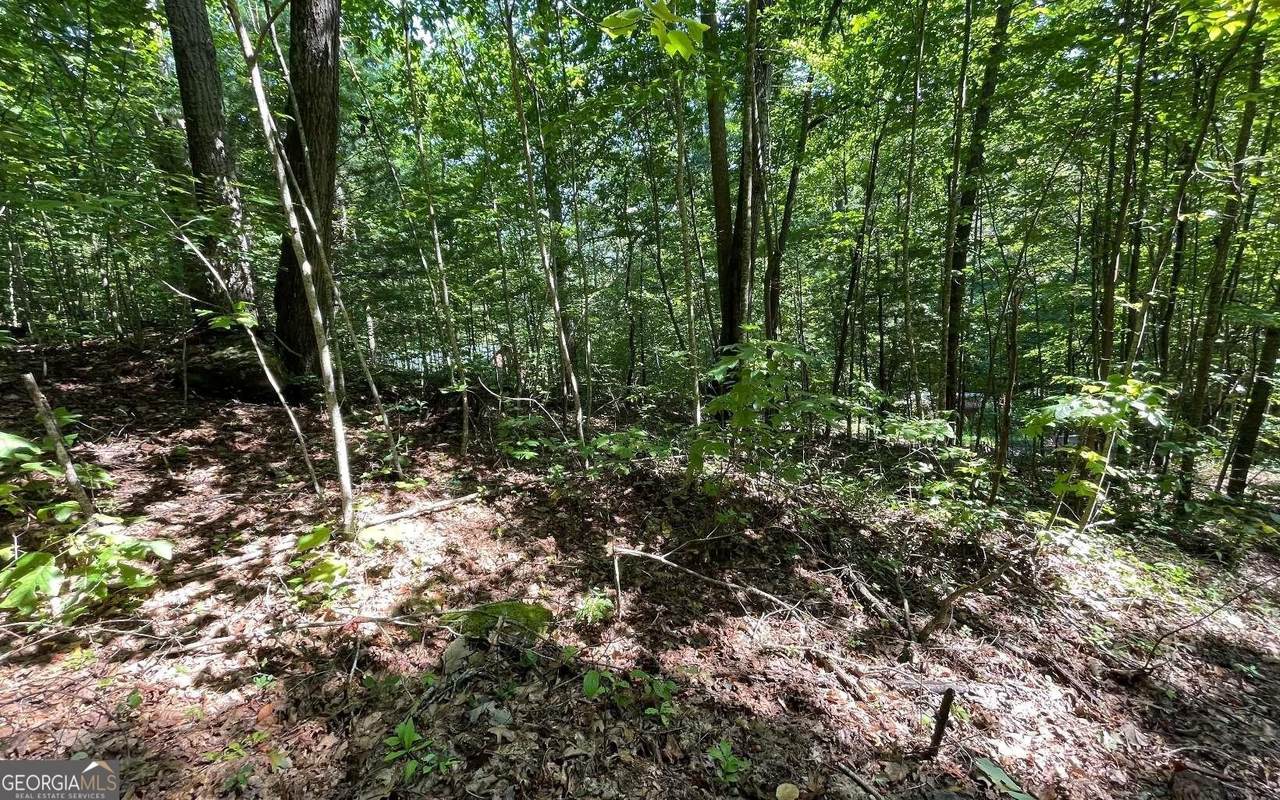 LOT 8D Eagle Heights - Photo 1